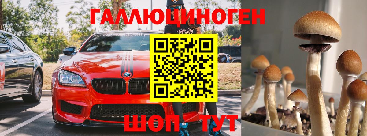 Галлюциногенные грибы ЛСД  Псилоцибиновые грибы ЛСД  Назрань  Вход с VPN 