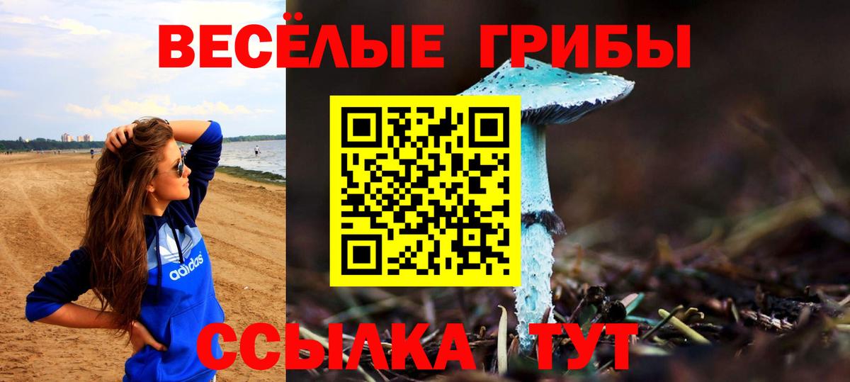 Псилоцибиновые грибы GOLDEN TEACHER Назрань